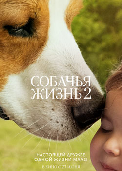 Собачья жизнь 2 постер Собачья жизнь 2