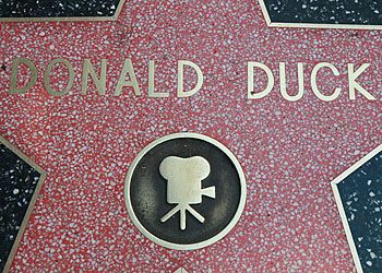 Donald duck star