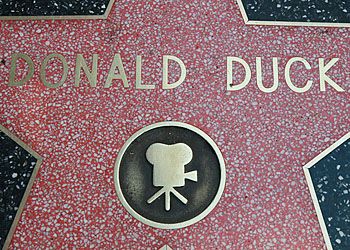 Donald duck star Donald duck star
