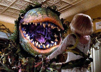 Little Shop of Horrors