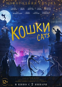 Кошки Кошки